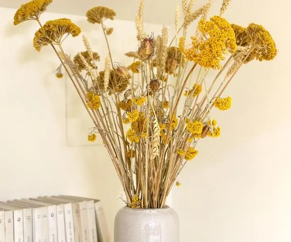 Segur Maison d'hôtes 4*